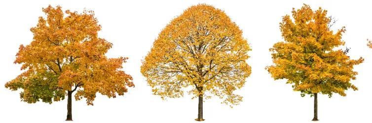 Stedentrips tijdens de herfst: top 10 in Europa